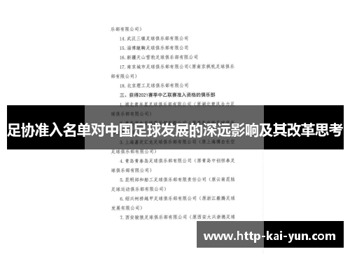 足协准入名单对中国足球发展的深远影响及其改革思考